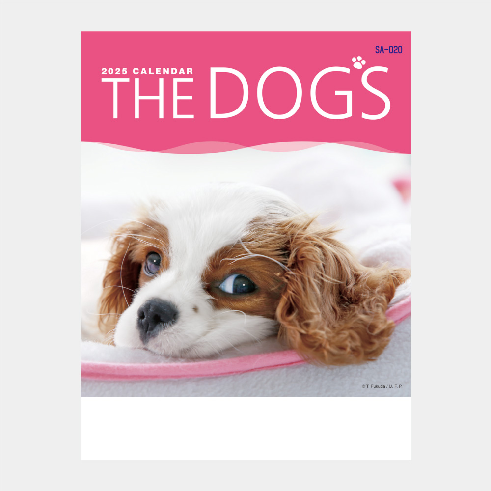 The Dog ｓ かわいい犬の壁掛けカレンダー 23年 名入れの制作 印刷 販促品 オリジナルノベルティグッズ 記念品 E販促ストア