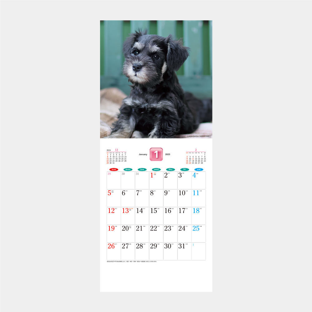 The Dog ｓ かわいい犬の壁掛けカレンダー 23年 名入れの制作 印刷 販促品 オリジナルノベルティグッズ 記念品 E販促ストア